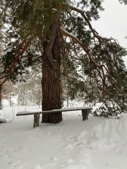 80 м² дом, 20 соток участок 8 000 ₽ в сутки - изображение 58