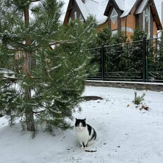 Квартира 42 м², 1-комнатная - изображение 3