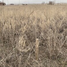 6 соток, участок - изображение 4