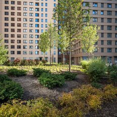 15,5 м², машиноместо - изображение 5