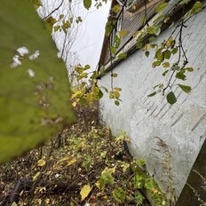 дом + 8 соток, участок - изображение 3