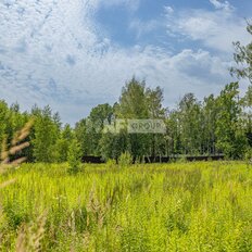 50 соток, участок - изображение 2