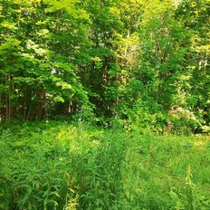 часть дома + 19 соток, участок - изображение 3