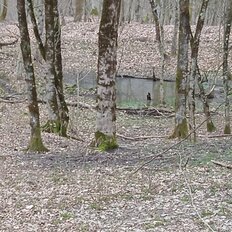 4,7 сотки, участок - изображение 2