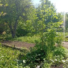 4,5 сотки, участок - изображение 2