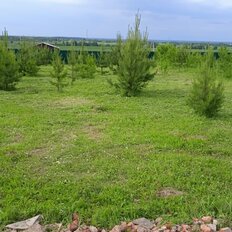 8,6 сотки, участок - изображение 4