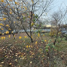 дом + 6 соток, участок - изображение 1