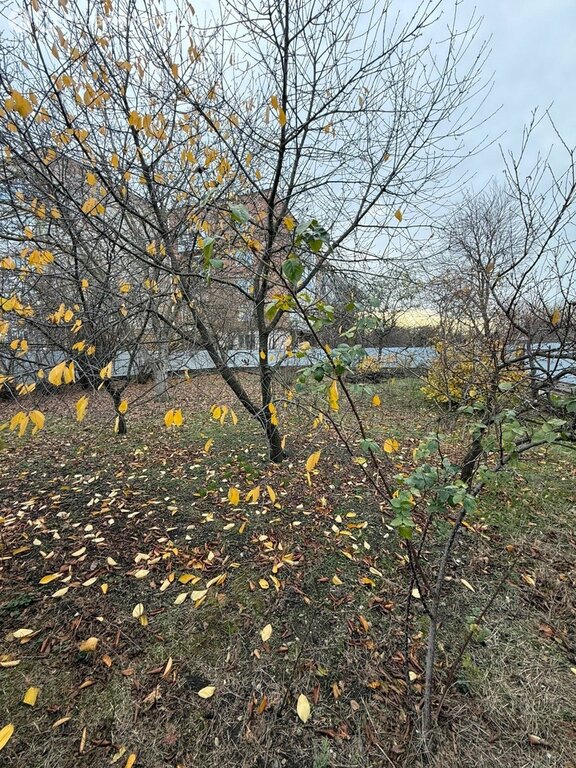 Купить металлоконструкции в Белореченск