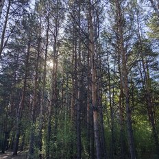 10 соток, участок - изображение 4