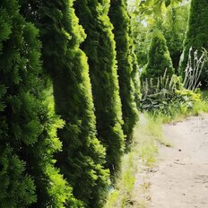 дом + 8 соток, участок - изображение 4