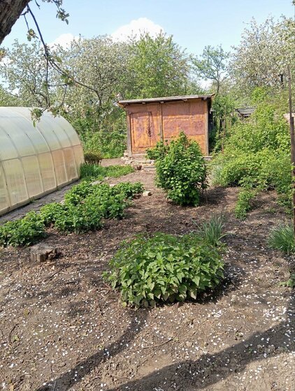 25,1 м², квартира-студия 5 153 700 ₽ - изображение 28