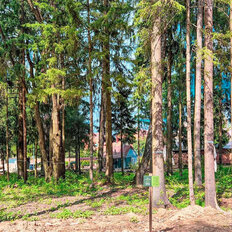 5,3 сотки, участок - изображение 5