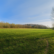 9 соток, участок - изображение 3