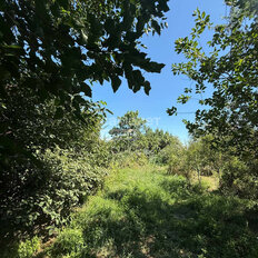 дом + 12 соток, участок - изображение 5