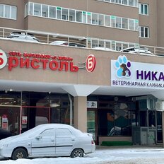 509,4 м², торговое помещение - изображение 2