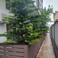 Квартира 30,9 м², 1-комнатная - изображение 1