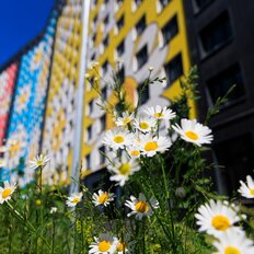 Квартира 46,5 м², 1-комнатная - изображение 2