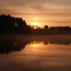 1 га, участок - изображение 1