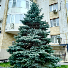 Квартира 52 м², 1-комнатная - изображение 1