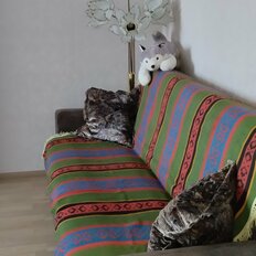 Квартира 34 м², 1-комнатная - изображение 4