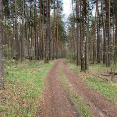 Квартира 48,4 м², 2-комнатная - изображение 1