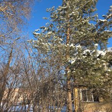 Квартира 44,8 м², 2-комнатная - изображение 1