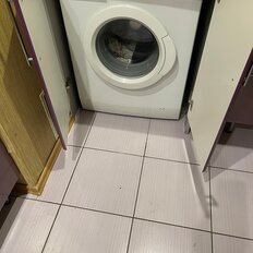 Квартира 55 м², 2-комнатная - изображение 1