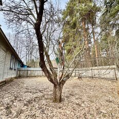 часть дома + 12 соток, участок - изображение 4