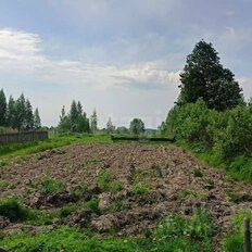 11,9 сотки, участок - изображение 2