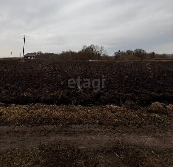 27 соток, участок 900 000 ₽ - изображение 32