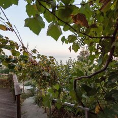 дом + 6 соток, участок - изображение 5