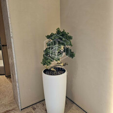 Квартира 70,4 м², 3-комнатная - изображение 2