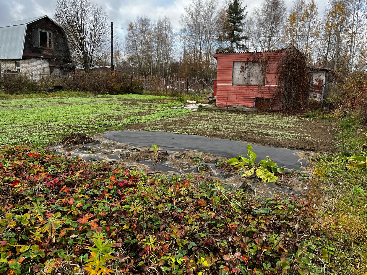 Дом 12 м² в СДТ Ручеёк — фото 11 из 20