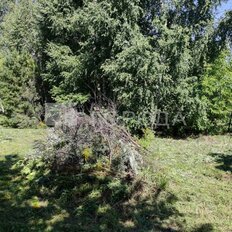 5 соток, участок - изображение 3