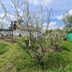 дом + 20 соток, участок - изображение 4