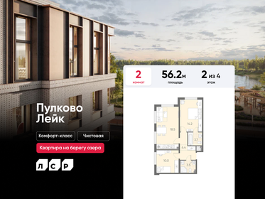 Квартира 56,2 м², 2-комнатная - изображение 1