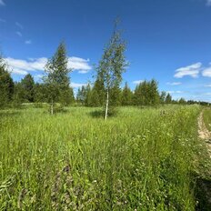 8 соток, участок - изображение 1