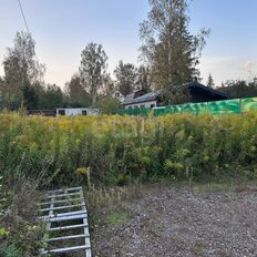 5 соток, участок - изображение 5