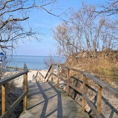 Квартира 48,8 м², 2-комнатная - изображение 4