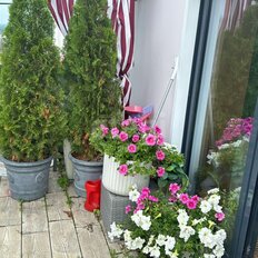 Квартира 168 м², 3-комнатная - изображение 4