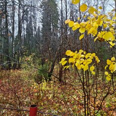 дом + 4 сотки, участок - изображение 4