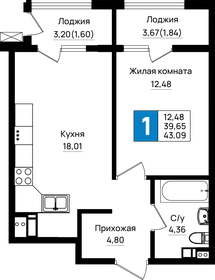 Квартира 43,1 м², 1-комнатная - изображение 1