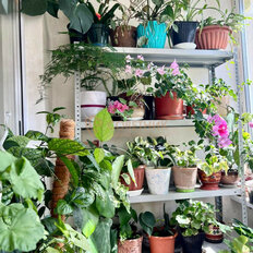 Квартира 76,6 м², 3-комнатная - изображение 4