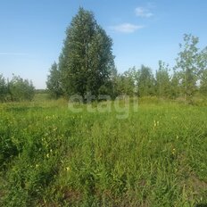 10,9 сотки, участок - изображение 5