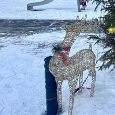 Квартира 58,2 м², 1-комнатная - изображение 1