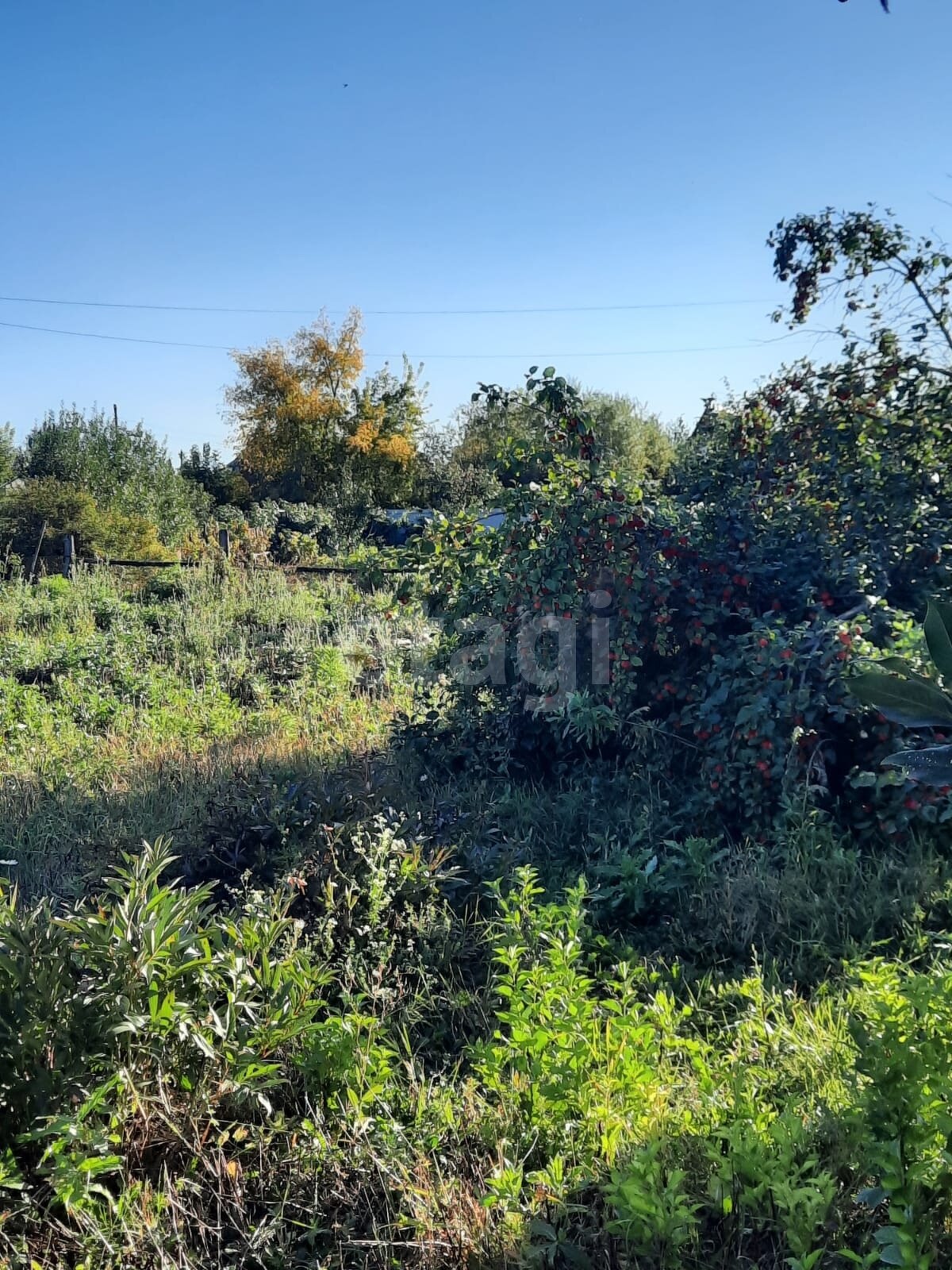 Дом 1-комн. 10 м² в СДТ Автомобилист — фото 10 из 12