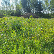 10 соток, участок коммерческого назначения - изображение 3