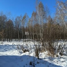 8 соток, участок - изображение 2