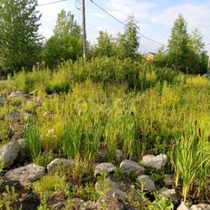 10 соток, участок - изображение 4