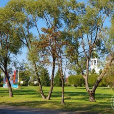 Квартира 33 м², 1-комнатная - изображение 4